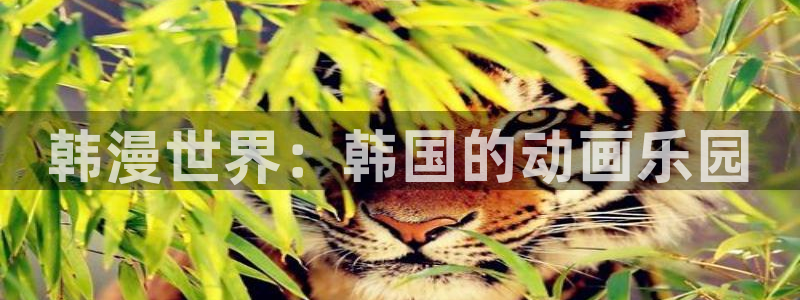 拷贝漫画在哪里下载